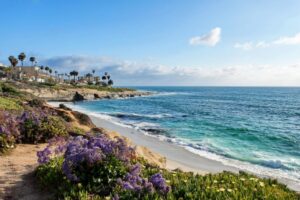 Picture of Beach at San Diego, California