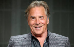 Don Johnson From Miami Vice to Millionaire